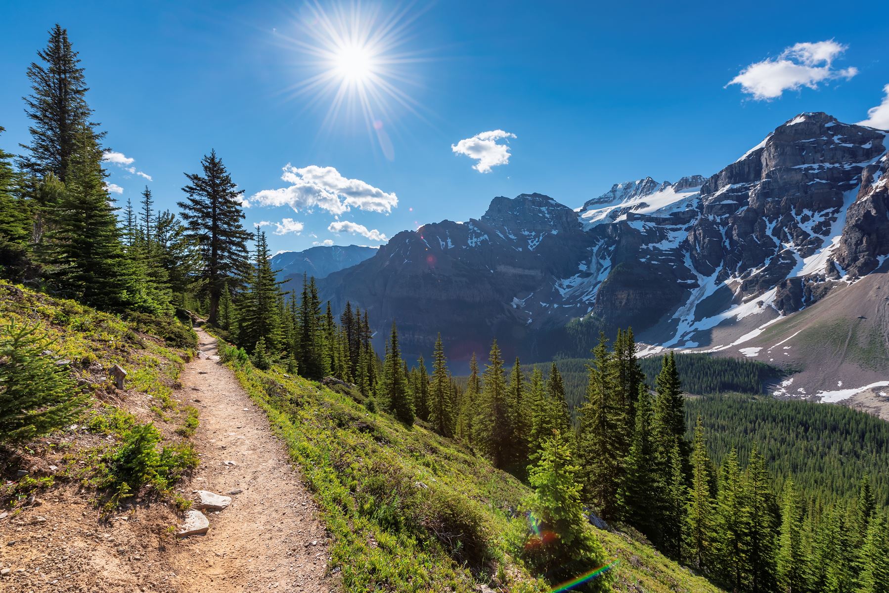 Trail within the rocky mountains